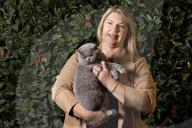 Feline fine: the Melbourne cat lovers show – in pictures