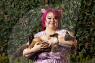 Feline fine: the Melbourne cat lovers show – in pictures