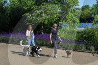 London weather forecast: Capital to be as hot as Miami this week with 31C expected in summer heatwave