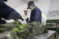 Prime Minister Boris Johnson visits Farms in Cornwall