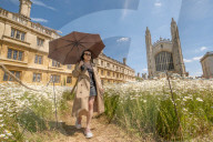 FEATURE - Der wahre Sommer: Die Königswiese in Cambridge steht in voller Blüte