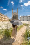 FEATURE - Der wahre Sommer: Die Königswiese in Cambridge steht in voller Blüte