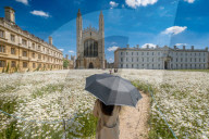 FEATURE - Der wahre Sommer: Die Königswiese in Cambridge steht in voller Blüte