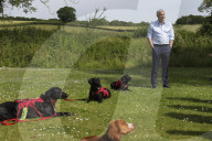 CDL Steve Barclay visits Service Dogs UK