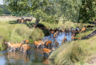 Three day heatwave hits London and the South East.