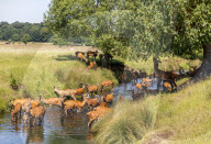 Three day heatwave hits London and the South East.