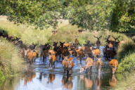 Three day heatwave hits London and the South East.