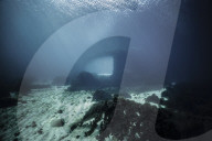 FEATURE - Das erste Unterwasserrestaurant Europas in Norwegen wird von der Natur einverleibt
