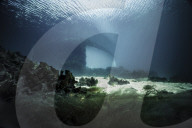 FEATURE - Das erste Unterwasserrestaurant Europas in Norwegen wird von der Natur einverleibt