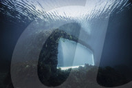 FEATURE - Das erste Unterwasserrestaurant Europas in Norwegen wird von der Natur einverleibt