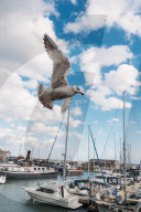 Coastal commuter towns: five hipster-friendly seaside spots for London leavers looking for work-life balance.