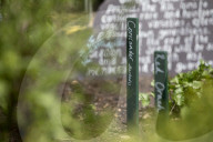 Brian Corr, head gardener of Highgrove Gardens.