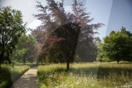 Brian Corr, head gardener of Highgrove Gardens.