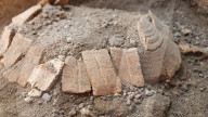 FEATURE - 2000 Jahre alte Schildkröte und ihr Ei in Pompeji gefunden