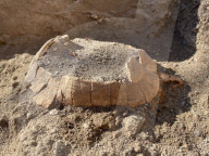 FEATURE - 2000 Jahre alte Schildkröte und ihr Ei in Pompeji gefunden