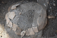 FEATURE - 2000 Jahre alte Schildkröte und ihr Ei in Pompeji gefunden