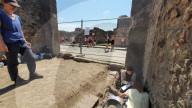 FEATURE - 2000 Jahre alte Schildkröte und ihr Ei in Pompeji gefunden