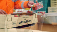 FEATURE - Hightech verbessert Qualität der traditionellen Erdbeeren für Wimbledon-Tennisturnier