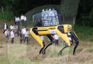 FEATURE - Japan: Feldversuch mit Robotern für die Forstwirtschaft
