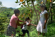 Fears for Honduran children as poverty worsens pneumonia’s toll