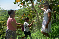 Fears for Honduran children as poverty worsens pneumonia’s toll