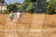 Heatwave weather forecast for the next week with highs of 32c