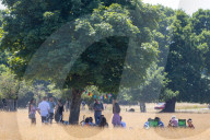 Heatwave weather forecast for the next week with highs of 32c