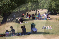 Heatwave weather forecast for the next week with highs of 32c