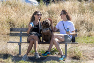 Heatwave weather forecast for the next week with highs of 32c