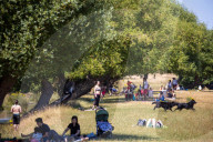 Heatwave weather forecast for the next week with highs of 32c