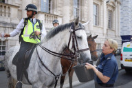 NEWS - Hitzewelle in London: Polizeipferde werden in Westminster mit Wasser versorgt