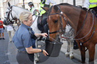 NEWS - Hitzewelle in London: Polizeipferde werden in Westminster mit Wasser versorgt