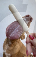Hot Dog cools off with an ice lolly 