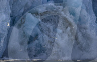 FEATURE - Kalbender Riese: Eisberge brechen vom Monaco-Gletscher auf der Svalbard-Insel von Spitzbergen ab