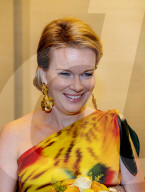 ROYALS - Die belgischen Royals beim Konzert am Vorabend der Feierlichkeiten zum Nationalfeiertag in Brüssel