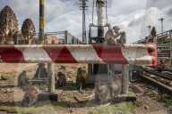 With the tourists gone, what now for Lopburi's famous monkeys?