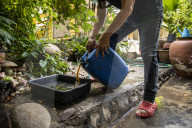 With the tourists gone, what now for Lopburi's famous monkeys?