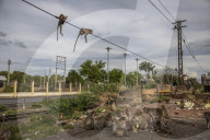 With the tourists gone, what now for Lopburi's famous monkeys?