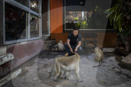With the tourists gone, what now for Lopburi's famous monkeys?