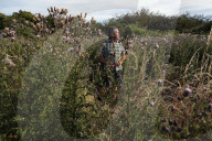 How Sussex farmers plan to rewild a nature-rich green corridor to the sea.