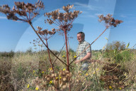 How Sussex farmers plan to rewild a nature-rich green corridor to the sea.