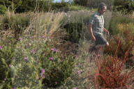 How Sussex farmers plan to rewild a nature-rich green corridor to the sea.