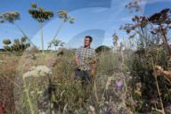 How Sussex farmers plan to rewild a nature-rich green corridor to the sea.