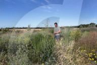 How Sussex farmers plan to rewild a nature-rich green corridor to the sea.