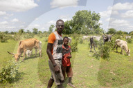 'We have travelled for a month to find grass': climate crisis piles pressure on Senegal’s herders.