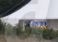 Boris Johnson wedding party