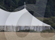 Boris Johnson wedding party