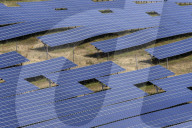 NEWS - Deutsch-Schweizerisches Kooperationsprojekt: Solarpark Moos bei Singen