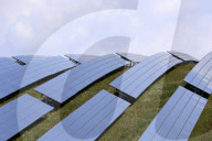 NEWS - Deutsch-Schweizerisches Kooperationsprojekt: Solarpark Moos bei Singen
