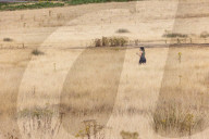 England drought fears after dryest July for 100 years.